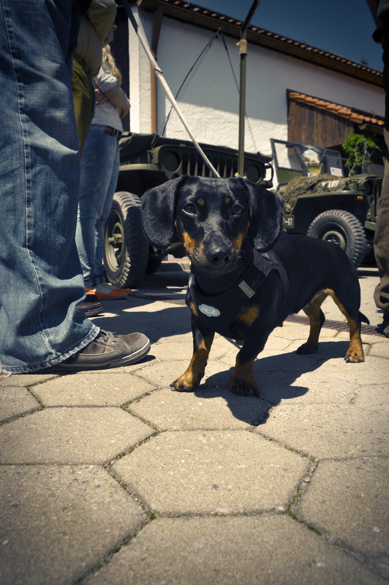 willys2013-9 Kopie