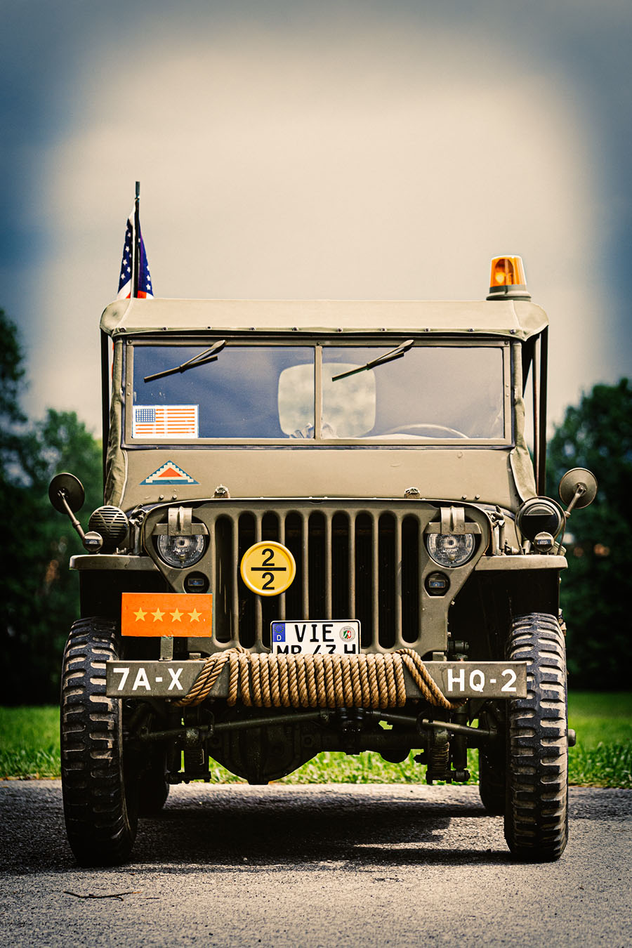 _DSC4783_colored