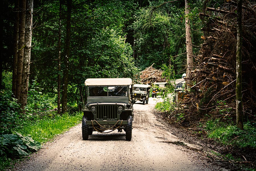 _DSC4878_colored