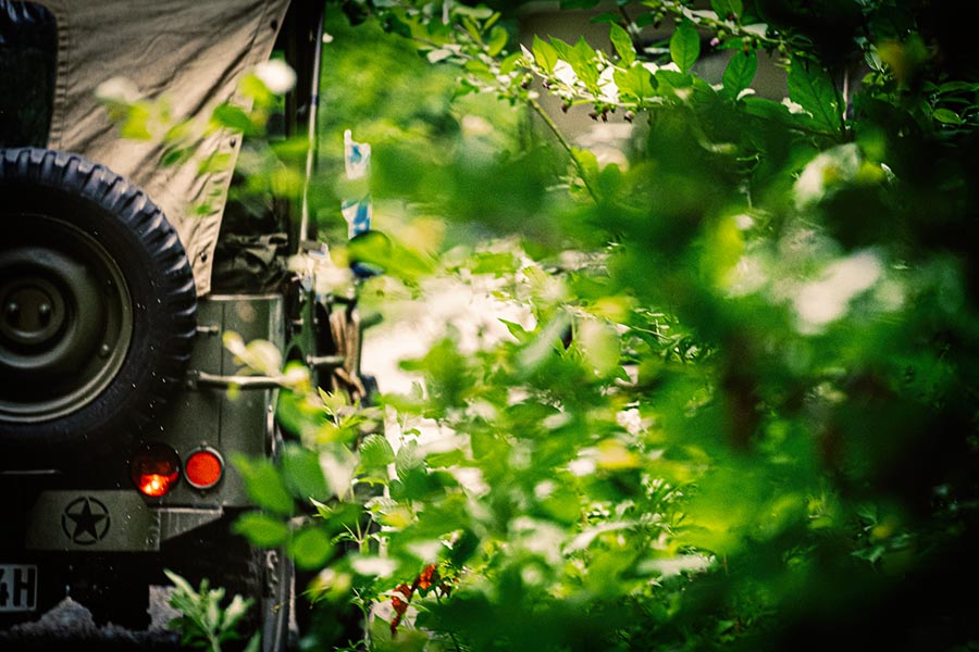 _DSC4889_colored