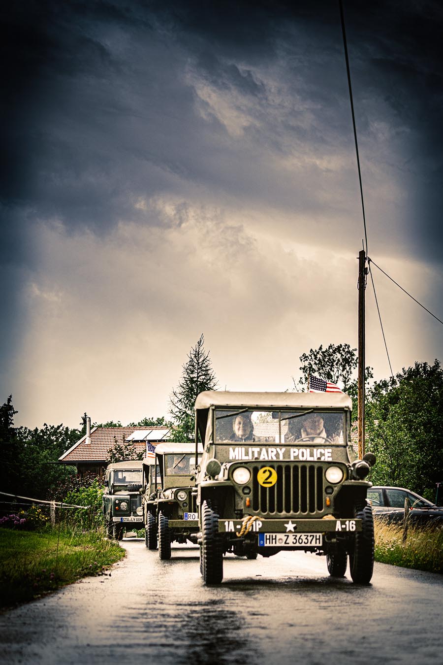 _DSC5081_colored