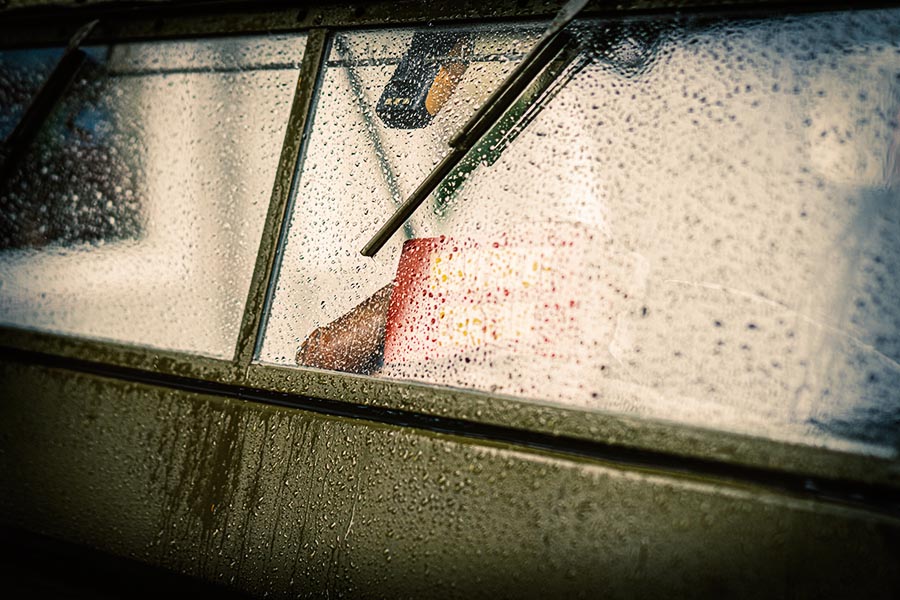 _DSC5142_colored